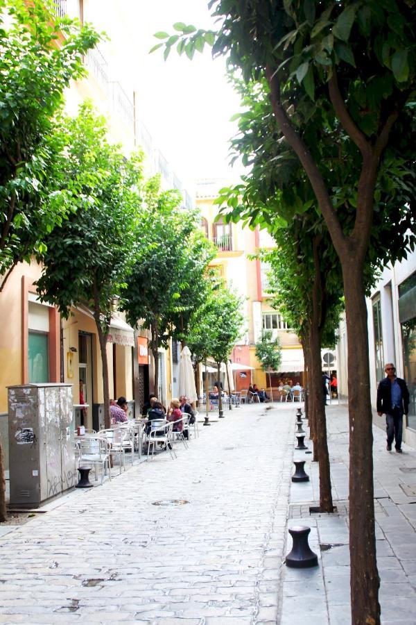 세비야 Plaza Nueva Terraza 아파트 외부 사진